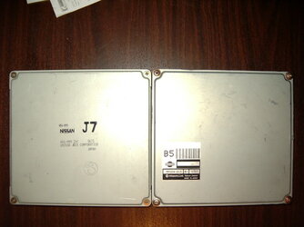 IMGP2641_1.jpg