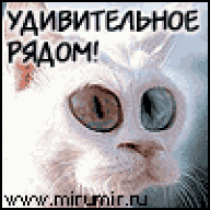 parfen