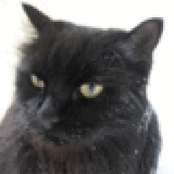 ZDN