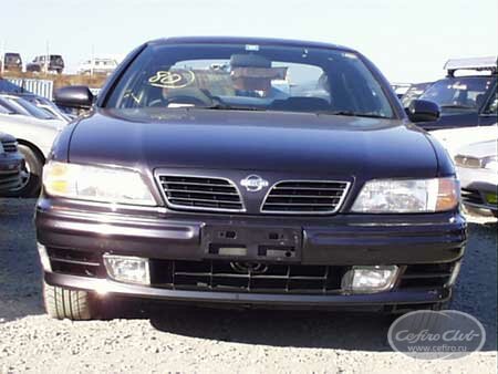 pic7.jpg
