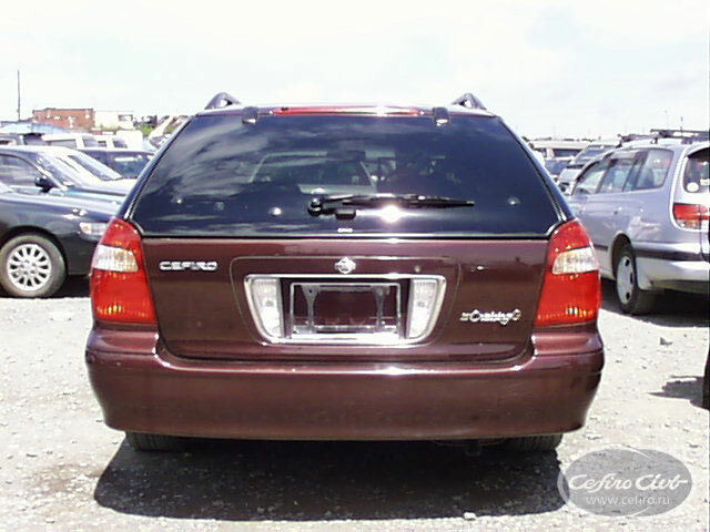 pic19.jpg
