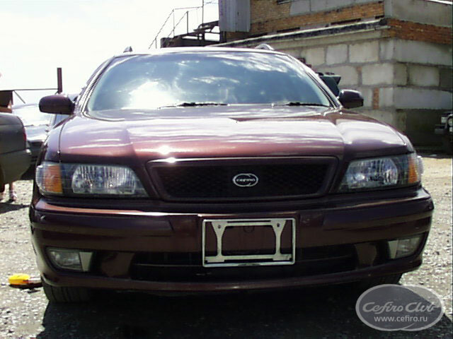 pic20.jpg