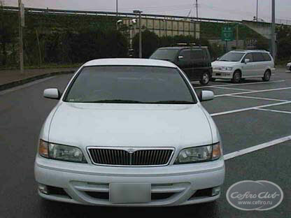 pic31.jpg