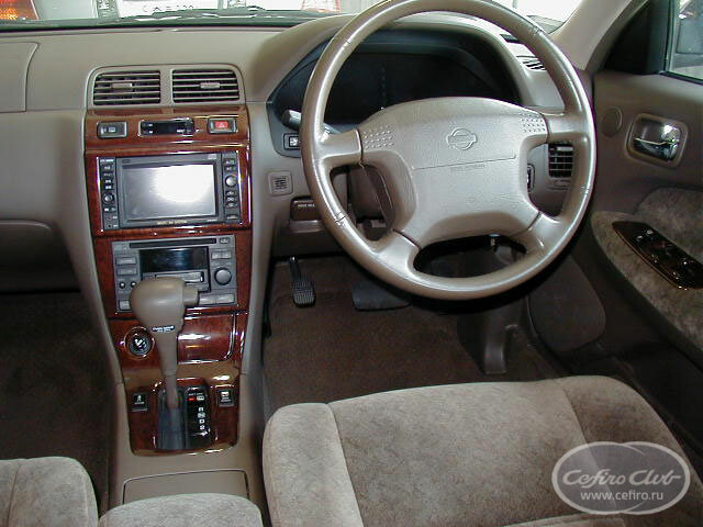 pic44.jpg