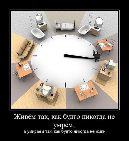 x_9ed24173.jpg