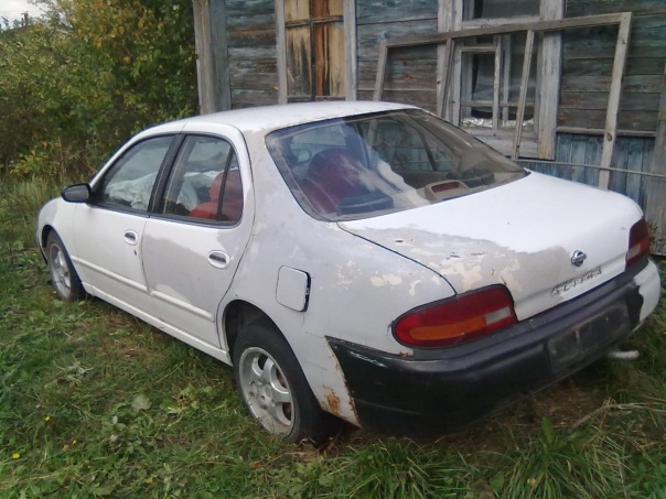 x_038524f3.jpg