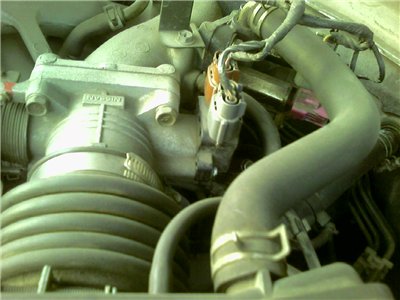 2367bf6350ff.jpg