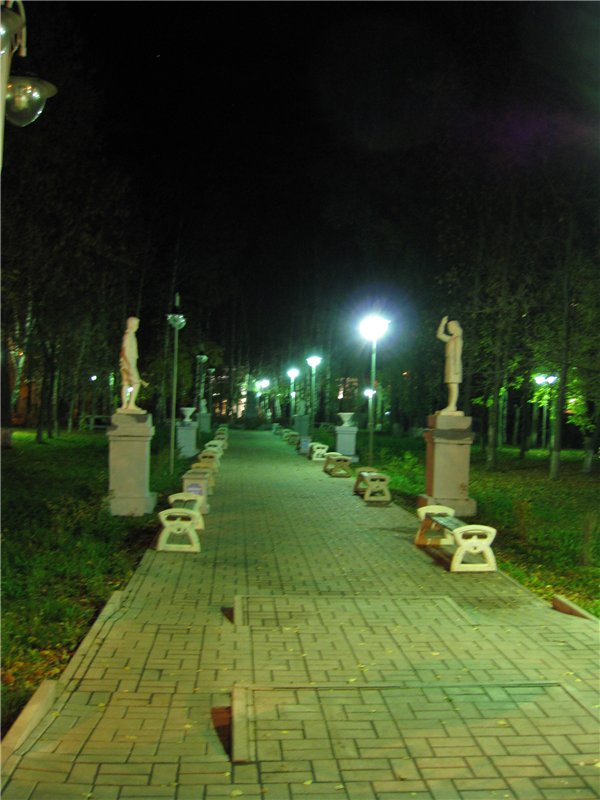 5a44c05825e8.jpg